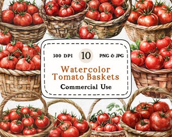 Watercolor Tomato Basket Clipart – 10 PNG & JPG, Commercial Use (Digital Download)