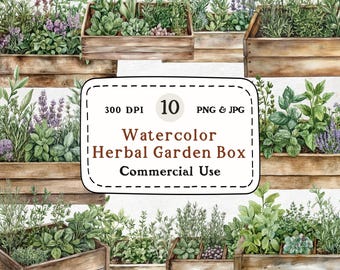 Watercolor Herb Garden Box Clipart – Rustic Planter Illustrations (Digital Download)