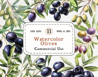 Watercolor Olive Clipart Set – Botanical Illustrations (Digital Download)