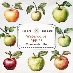 Aquarel appel clipart bundel groen rood fruit illustratie digitale download junk Journal kortstondige botanische appel kunst scrapbook collage