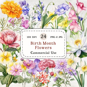Bloemen geboortemaand - 24 aquarel clipartset, geboortebloemen voor elke maand, bloemen clipart, bloem van de maand, botanische illustraties