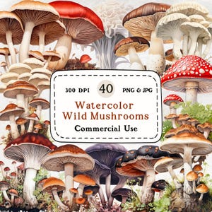 Champignons sauvages - ensemble de 40 cliparts aquarelle, clipart nature, champignon vintage, champignon mystique, champignon vénéneux de la forêt, 300 DPI, téléchargement numérique