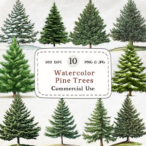 Könnte beinhalten: Aquarellillustration von zehn verschiedenen Kiefern in verschiedenen Grüntönen. Das Bild enthält ein weißes rechteckiges Etikett mit dem Text "Watercolor Pine Trees Commercial Use". Das Bild ist mit 300 DPI, 10 PNG & JPG beschriftet.