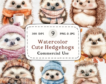 Watercolor Cute Hedgehog Clipart, Autumn Animal Art (PNG & JPG)