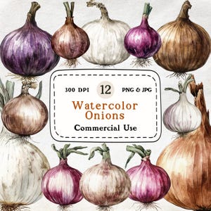 Onions - 12 Watercolor Clipart Set, Vegetable Illustration, Onion Clipart, Veggie Lover, Kitchen Clip Art, Scrapbooking, Commercial Use
