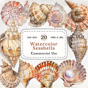 Clipartset aquarel zeeschelp – 20 nautische png-bestanden (digitale download)