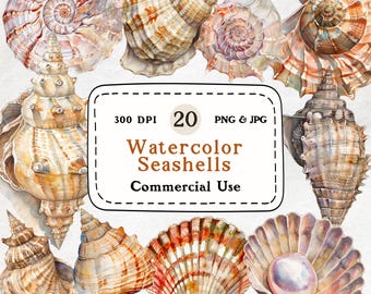 Conjunto de imágenes prediseñadas de conchas marinas en acuarela: 20 PNG náuticos (descarga digital)