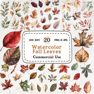 Folhas de Outono - Conjunto de 20 clipart em aquarela, Folha de bordo, Folhas secas de outono, Cores brilhantes de outono, Download digital, Scrapbooking, Uso comercial