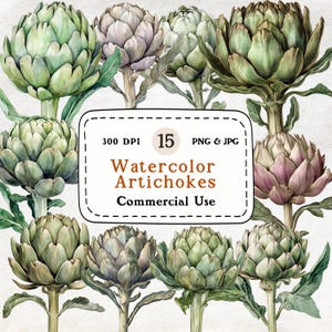 Artichauts - ensemble de 15 cliparts aquarelle, illustrations botaniques, art végétal, cuisine, ferme, nourriture PNG, esthétique Cottagecore, jardin