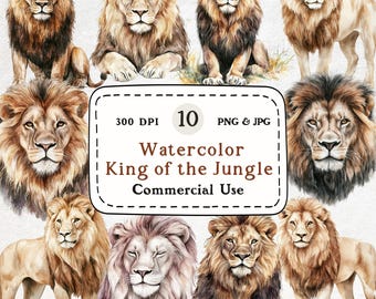 Aquarell Löwe Clipart - Afrikanische Dschungeltiere (PNG & JPG)