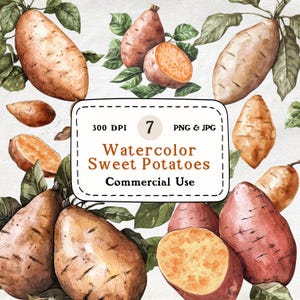 Batatas: conjunto de 7 imágenes prediseñadas de acuarela, ilustración botánica, imágenes prediseñadas de alimentos, verduras, descarga digital, álbum de recortes, uso comercial