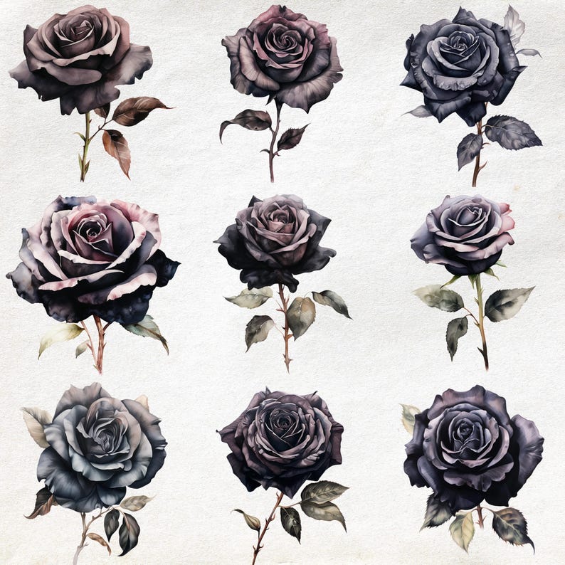 Black Rose Watercolor Clipart Set – 15 PNG & JPG, Commercial Use ...
