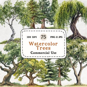 Bomen - 75 aquarel clipart set, boom illustraties voor ambachten, natuur graphics, boom clipart, 300 DPI, digitale downloads, commercieel gebruik