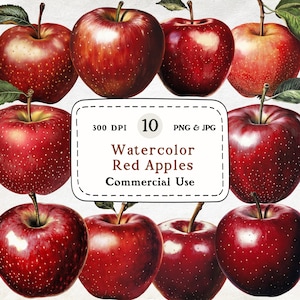 Rote Äpfel - 10 Aquarell Clipart Bundle, Obst, Obstgarten, Herbst Bauernhaus Küche, Herbst Dekor, Garten Produkte, rustikale Lebensmittel Kunst