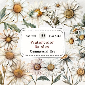 10 Aquarell Gänseblümchen, Clipart-Bundle, weißes Gänseblümchen, Blumenillustrationen, 300 DPI, kommerzielle Nutzung, für Kunsthandwerk, Karten, Scrapbooking