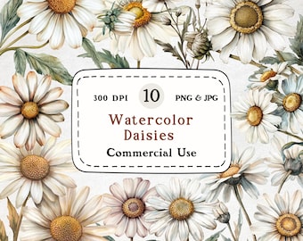 Paquete de imágenes prediseñadas de margaritas en acuarela, ilustraciones florales (descarga digital)