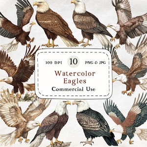 Eagles - 10 Watercolor Clipart Bundle, Realistic Flying and Perched Bald Eagle Art, Bird Illustrations, Wildlife Nature Clip Art Set