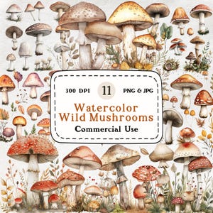 Champignons sauvages lunatiques - 11 ensemble de cliparts aquarelle, clipart fantastique, champignon vintage, champignon mystique, champignon vénéneux de la forêt, téléchargement numérique