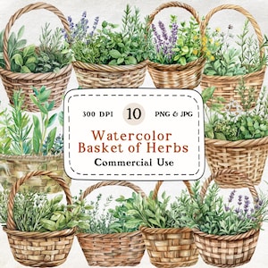 Cestas de ervas - Conjunto de 10 clipart de aquarela, clipart de ervas, cesta de herbalista, 300 DPI, download digital, scrapbooking, uso comercial