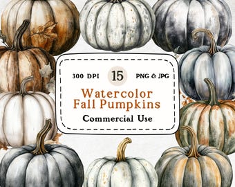 かぼちゃ 富良野産 坊っちゃんかぼちゃ サイズ混合 7.5kg - メルカリ