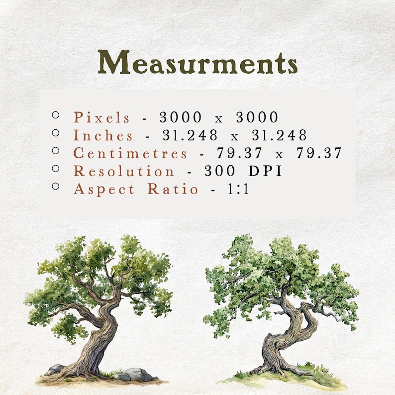 Watercolor Tree Clipart Set – 75 Nature Illustrations (digital Download ...