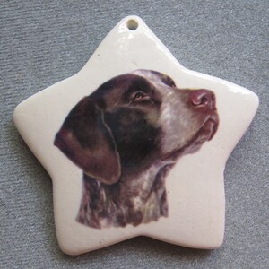May include: A star-shaped ceramic ornament featuring a detailed portrait of a German Shorthaired Pointer dog. The dog has brown and white fur, with a focused gaze. The ornament is off-white with a hole for hanging.