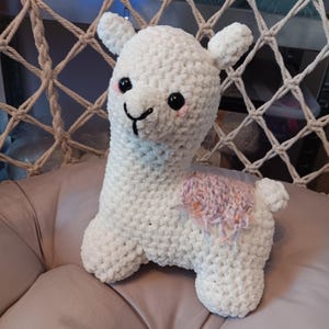 alpaca