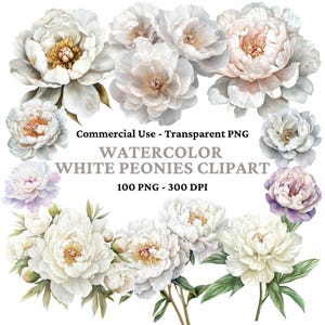 100 Watercolor Peony Clipart - Spring Floral Clipart - Wedding flowers PNG - White Peony - Digital Craft - Commercial Use - Instant Download