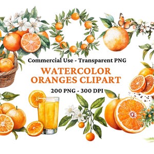 200 Watercolor Orange Clipart Set - Fruit & Floral PNG Bundle - Instant Download - Orange PNG Bundle-Watercolor Citrus Wreath-Orange Flowers