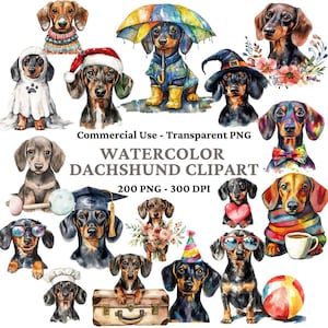 200 Watercolor Miniature Dachshund PNG Clipart - Watercolor Puppy Illustration, Sausage Dog Art - Watercolor Dog Bundle - Commercial Use