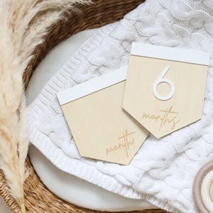 Panneau en bois pour bébés, jalon du mois, accessoire photo pour bébé, jalon en bois, disque jalon avec chiffres en acrylique, réversible