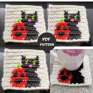 May include: Crochet pattern for a black cat with a pumpkin. The pattern is written in PDF format. The image shows the finished crochet project.