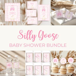 Pink Silly Goose Baby Shower Bundle - Pink Gingham Baby Shower Decor - Mother Goose Baby Shower Decor - Spring Baby Girl Shower BS22