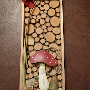 Wall picture wood forest picture lucky mushrooms wooden frame with tree slices dried fruits