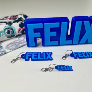 Custom 3D Name tags - Custom Key Chain - Name tag for school bag -  name tag for pencil case - name tag for lunch box - name plate custom