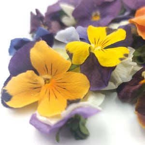 Mini-pansy flowers, dried, in 250ml jar, approx. 50 flowers