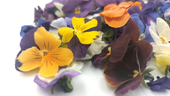 Mini-pansy flowers, dried, in 250ml jar, approx. 50 flowers