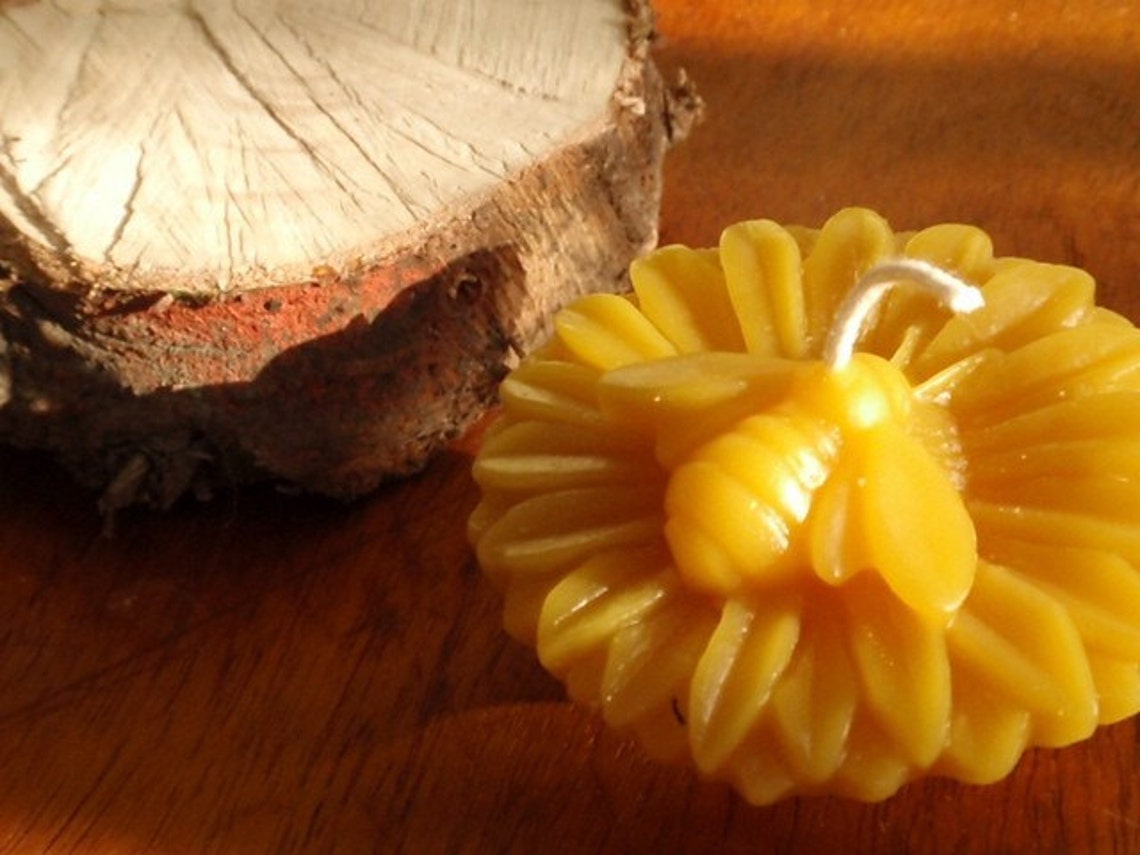 Honey bee beeswax candles set of 2 / natureinspired Etsy
