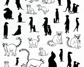 Meerkat Svg Bundle, Meerkat Clipart For Cricut, Cute Meerkat Silhouette, Meerkat Lover Vector, Meerkat Decal , Meerkat Cut Files.