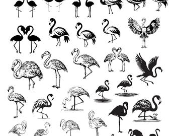 Paquete de Svg de flamenco, clipart de flamenco para Cricut, linda silueta de flamenco, vector de pájaro, calcomanía de flamenco, archivos de corte de flamenco.