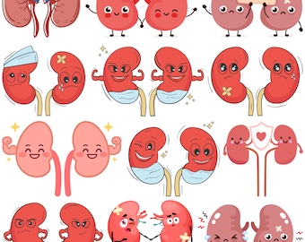 Kidney Svg Bundle, Kidney Clipart For Cricut, Kidney Silhouette, Kidney Vector, Kidney Decal , Human Kidney Cut File.