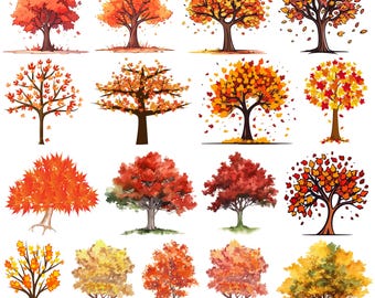 Maple Tree Svg Bundle, Tree Clipart For Cricut, Maple Tree Silhouette, Maple Tree Vector, Tree Decal , Maple Tree Cut File.