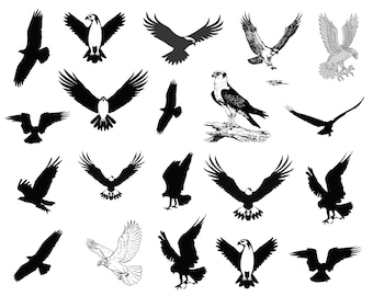 Osprey Svg Bundle, Osprey Silhouette Vector, Clipart, Osprey Png, Osprey Birds Decal Outline, Osprey Svg Cricut, Bird Of Prey Silhouette