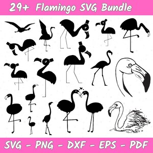 Flamingo SVG Bundle, Flamingo Clipart, Flamingo Clipart, Tropical Bird SVG, Flamingo Vector, Flamingo Cut Files for Cricut, Silhouette