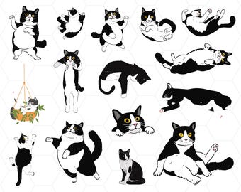 Tuxedo Cat SVG Bundle | Cat Silhouette SVG | Tuxedo Cat Clipart | Black and White Cat SVG | Cat Vector | Cricut Cut Files | Instant Download
