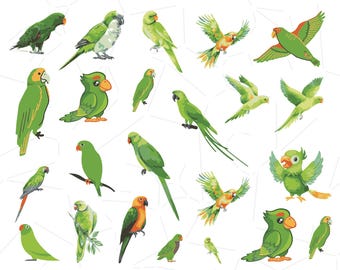 Parrot Svg Bundles, Parrot Bird Svg, Bird Svg, Green Parrot Svg, Parrot Clipart, Parrot PNG, Parrot Circuit Files, Parrot Silhouette