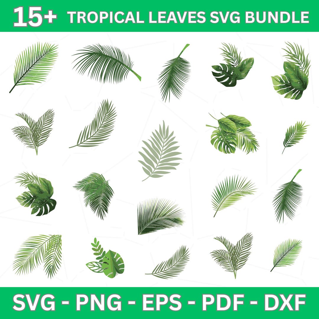 Tropical Leaves Svg Bundle, Monstera Leaf Svg, Jungle Leaves Clipart ...