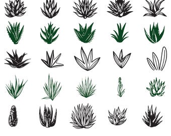 Agave Svg Bundle, Agave Plant Clipart For Cricut, Agave Silhouette, Agave Vector, Agave decal, Mexico Plant Cut Files.