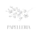PapelleriaStudio store logo