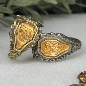 May include: Two antique rings with gold-colored centerpieces featuring detailed relief designs. The rings have ornate, silver-colored frames. One ring is upright, while the other lies on its side. The background is blurred, with hints of green foliage.